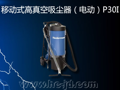 �ƶ�ʽ��������������綯��P30I